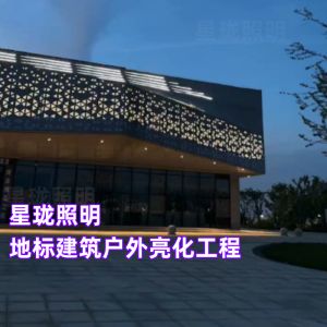 地标建筑户外楼体亮化工程现场实景效果