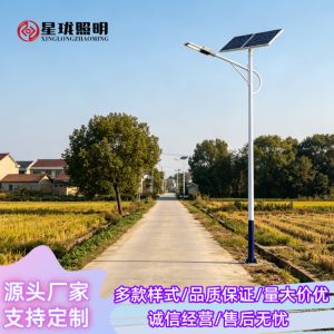 农村道路太阳能路灯安装工程案例
